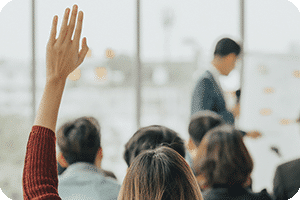 Formación En Terapia Focalizada En Las Emociones Tfe